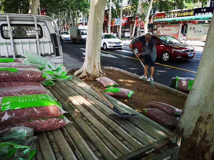 福建有機彩色覆蓋物.jpg