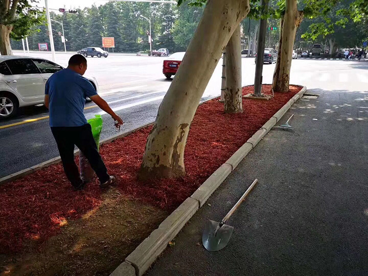 福州彩色覆蓋物.jpg