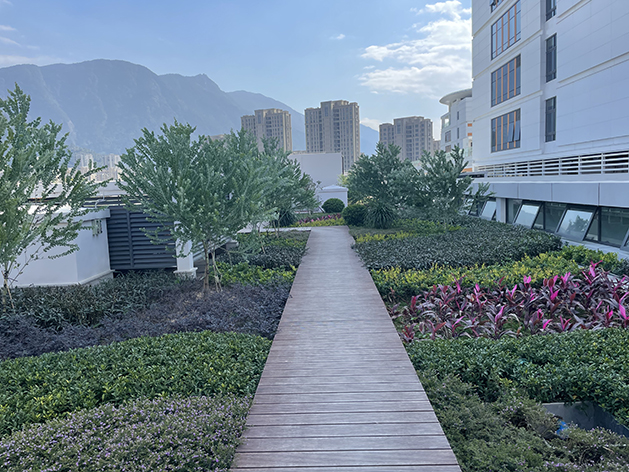 福建省兒童醫院屋頂綠化滴灌系統.jpg